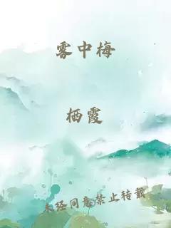 雾中梅