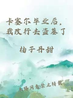 卡塞尔毕业后，我改行去盗墓了
